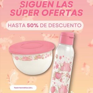 Tupperware catalogs